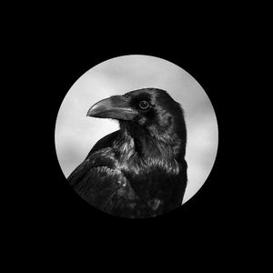 日本中文一二区有码在线观看
