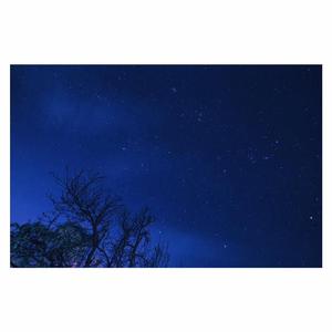 国产熟女高潮一区二区三区
