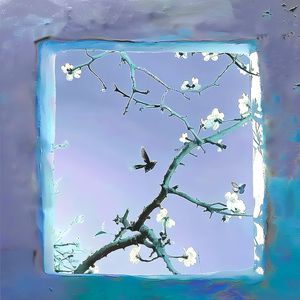 嗯嗯嗯嗯啊啊啊啊啊
