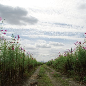 激情小说亚洲图片伦
