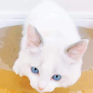 香蕉视频在线视频
