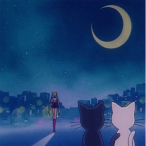 在线观看的黄色
