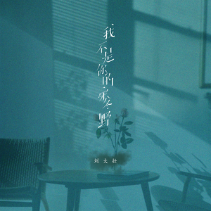 国产肉丝袜在线视频一区
