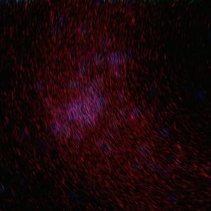 女人❌👙羞动漫视频
