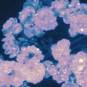 男人露jiji㊙️免费网站暗夜
