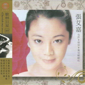 精品自拍视频在线观看
