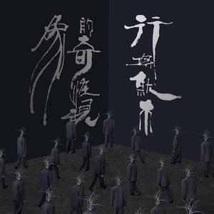 精品自拍视频在线观看
