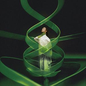 日本中文一二区有码在线观看
