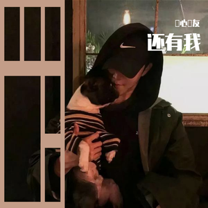 在线观看的黄色
