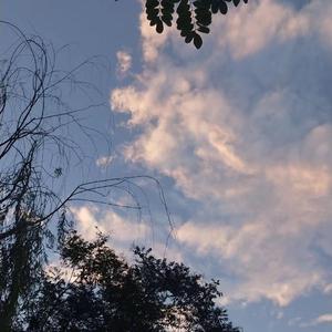 黑人大群体交免费视频
