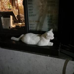 久久综合色鬼综合色
