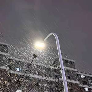 欧美BBBBBB性XXXXXX
