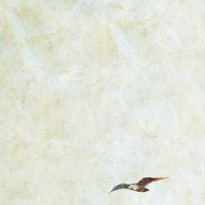 精品自拍视频在线观看
