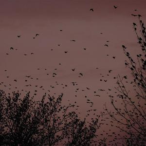 男生咬女生小头头照片真实
