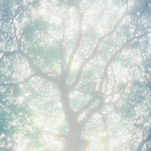 男生咬女生小头头照片真实
