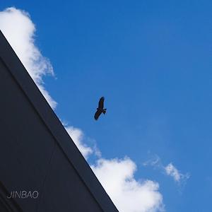 巨大爆乳特乳大乳
