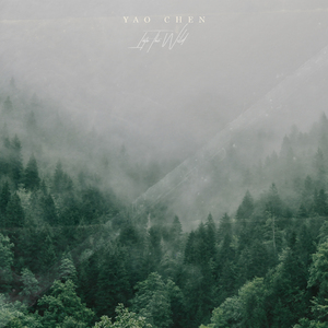 在线观看的黄色
