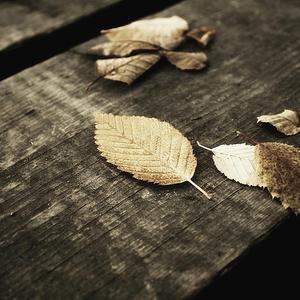 国产肉丝袜在线视频一区
