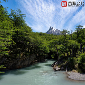 精品自拍视频在线观看
