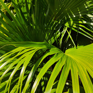 国产熟女高潮一区二区三区
