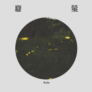 国产一级A片毛毛天码美女视频
