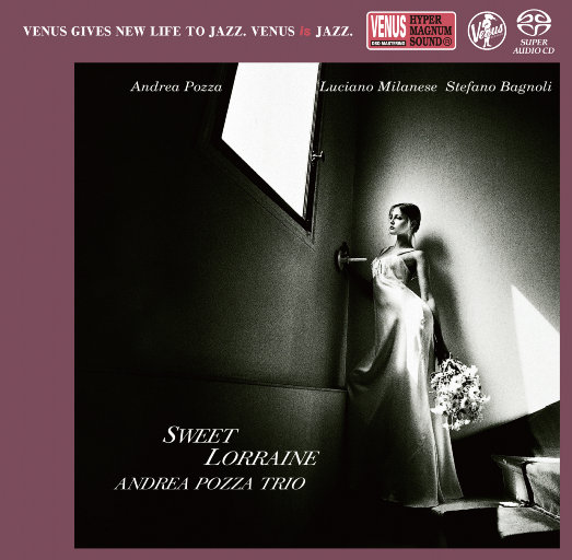 日本中文一二区有码在线观看
